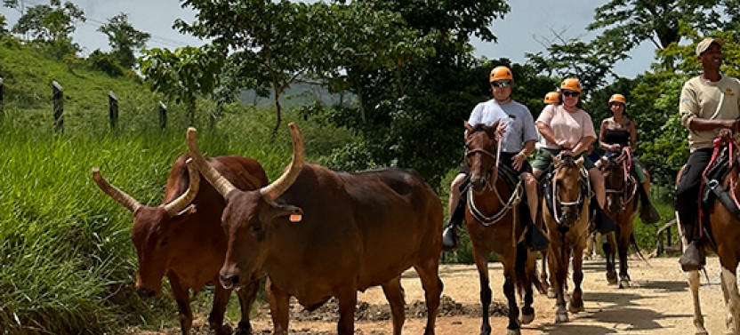 La Hacienda Park VIP: Private tour