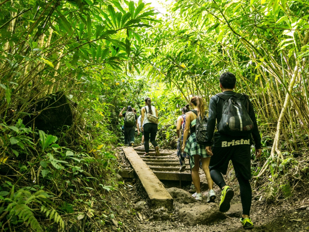 Oahu Hiking Tours : Manoa Waterfall with lunch at Tantalus Picnic