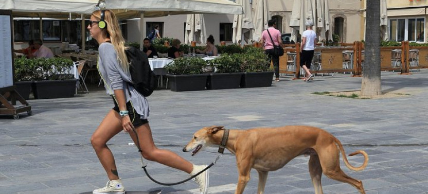 Custom Barcelona Private Tour With Locals: See The City Unscripted, photo 3 of 23