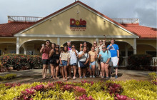 Hawaii Turtle Tours6