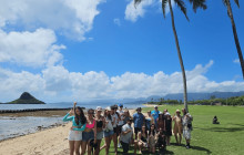 Hawaii Turtle Tours4