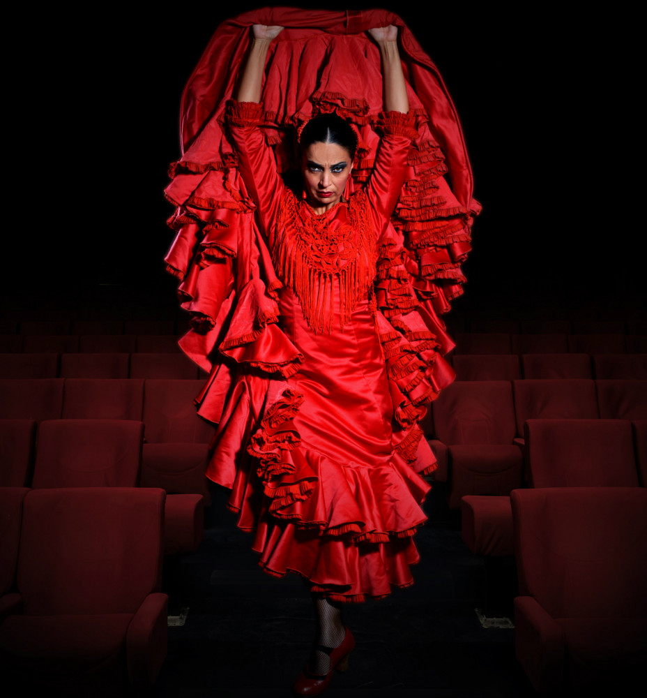 Flamenco Show at Teatro Flamenco Málaga