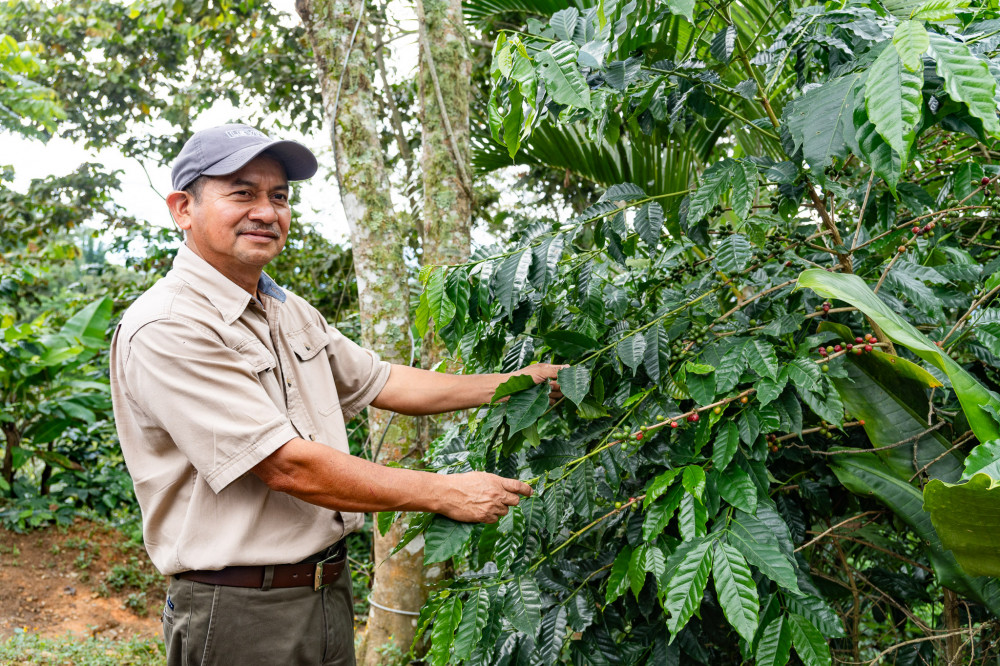 Huatulco: Pluma Hidalgo Coffee Tour