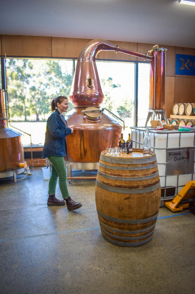 Coal Valley Wine And Gin Safaris Departs Hobart, Includes 2 Course Winery Lunch, Gin, Wine And Cheese Tastings, Kangaroo Bluff & Richmond Village