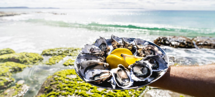 Bruny Island Safaris - Food, Sightseeing & Cape Bruny Lighthouse Tour