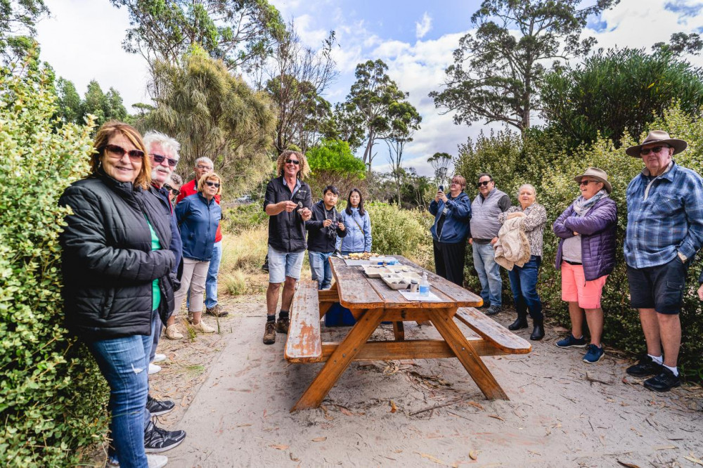 Bruny Island Safaris