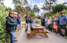 Bruny Island Safaris12