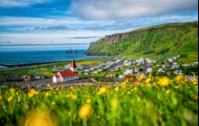 Your Friend in Reykjavik1