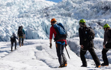 Your Friend in Reykjavik8