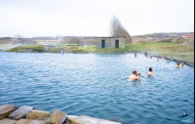 Your Friend in Reykjavik9