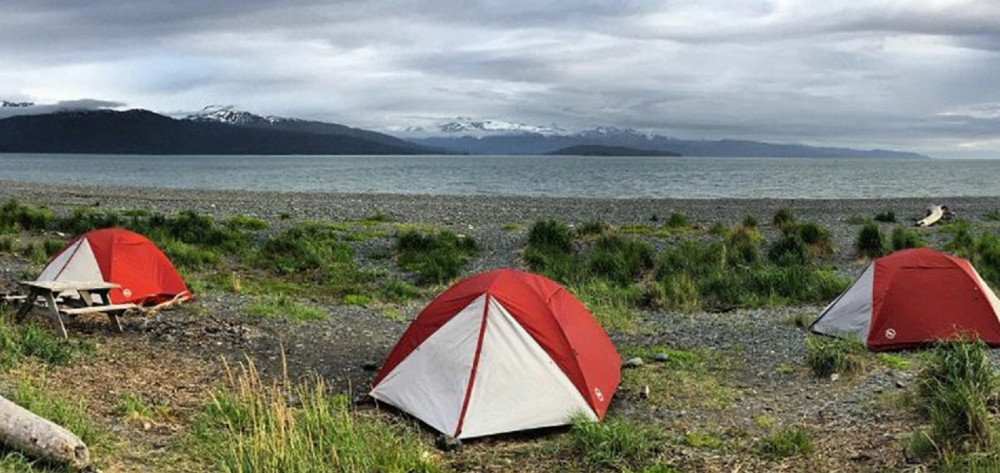 Alaska's Campgrounds: Where Wild Adventures Await