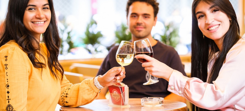 Private Vienna Wine Tour: 9 Local Wines & Food Tasting