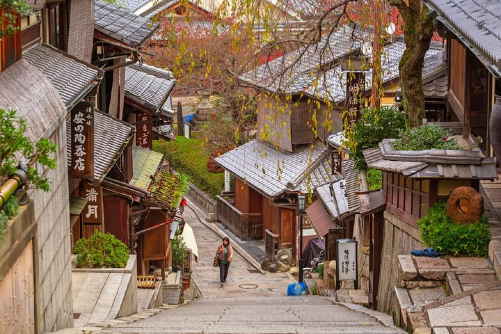 Private & Personalized Kyoto Half-Day Walking Tour With A Guide