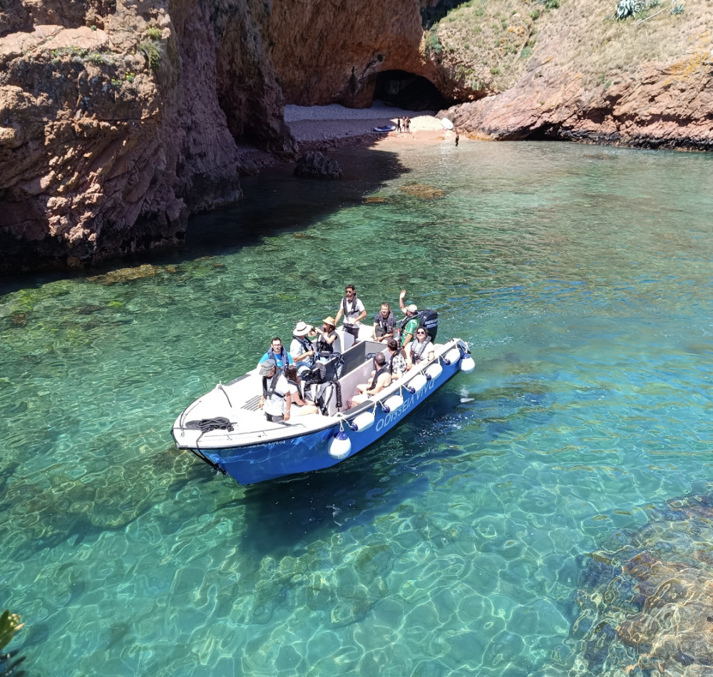 Berlengas Island Catamaran Tour + Caves Trip