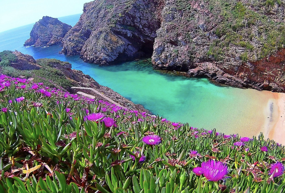 Berlengas Island Catamaran Tour + Snorkeling