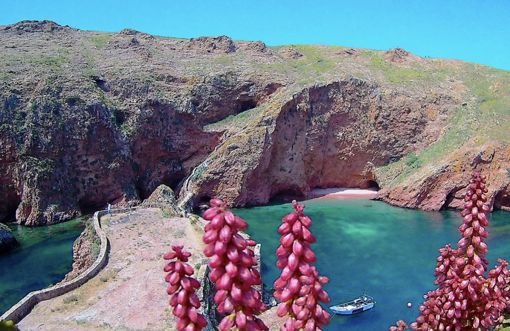 Berlengas Island Catamaran Tour + Stand Up Paddle