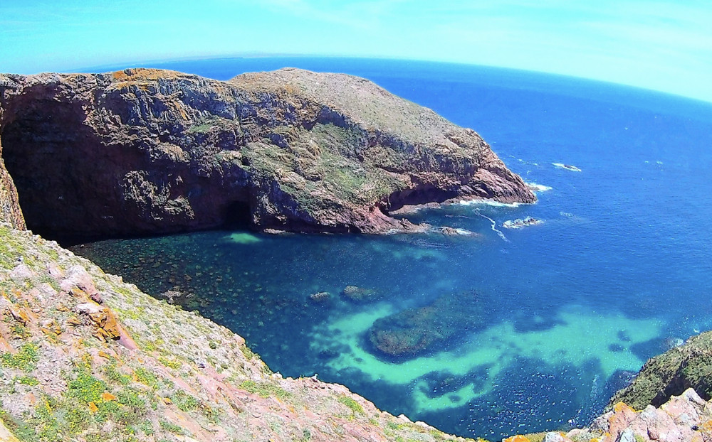 Berlengas Island Catamaran Tour - Round Trip