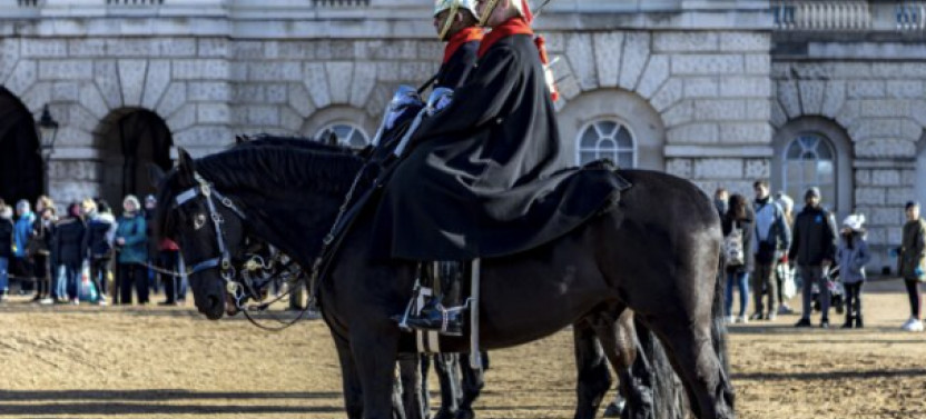 Private Walking tour of Central London with Changing of the Guard.