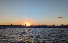 TOFA8