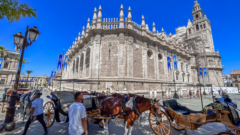 Seville Cathedral and Alcazar English Guided Tour in Spain