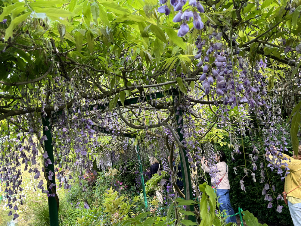 Giverny & Monet’s Gardens: Private Tour from Paris