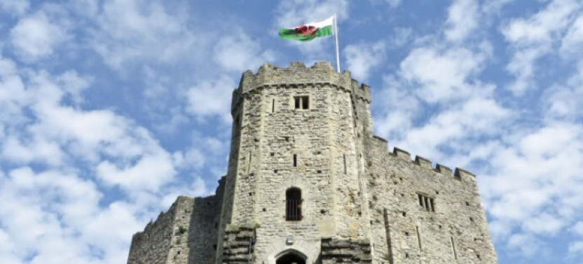 Private Half-Day Walking Tour Of Cardiff