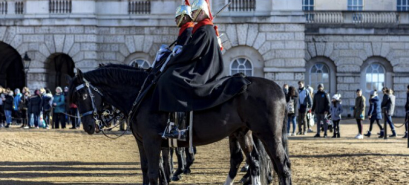 Private Westminster, WhiteHall, & Windsor Castle Tour From London By Train