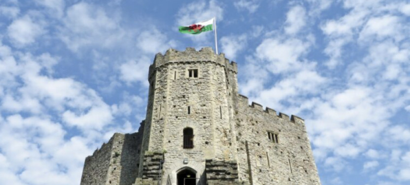 Private Day Tour Of South Wales, Including Cardiff & Caerphilly Castle