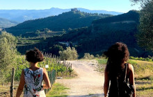 Tours of Tuscany6