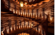 Tours of Tuscany6