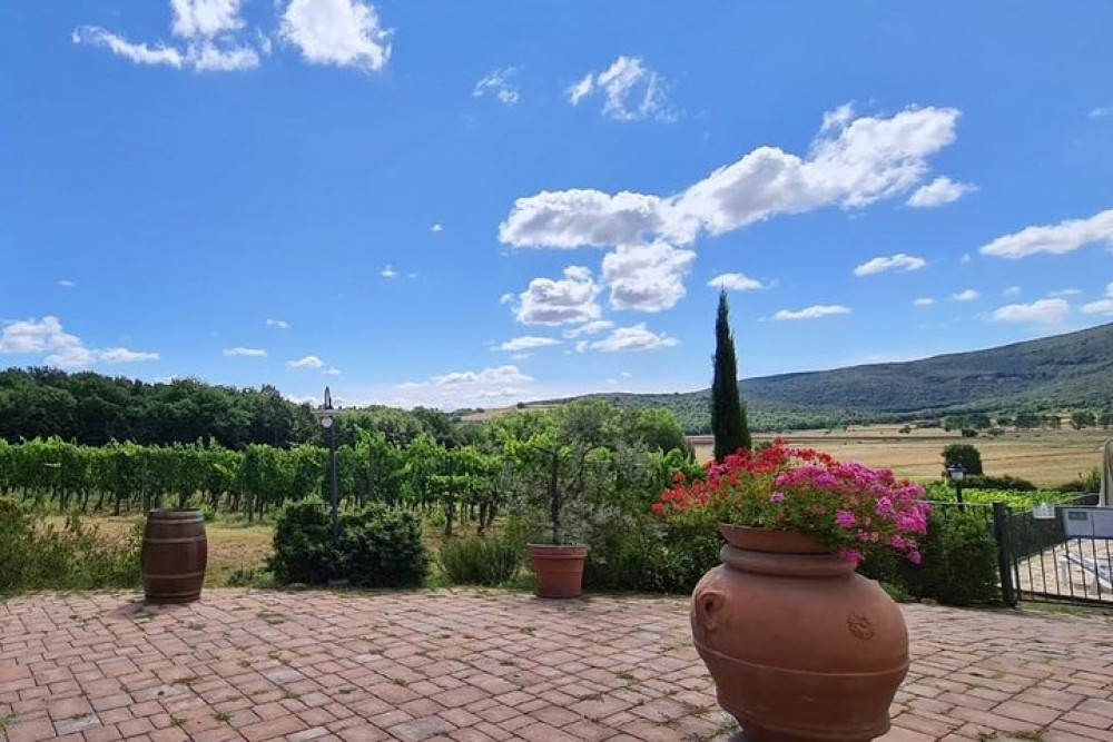 Private: Chianti Afternoon Tour with Dinner at Sunset