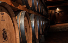 Tours of Tuscany3
