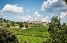 Tours of Tuscany5