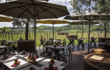 Tours of Tuscany7