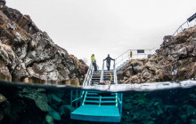 Your Friend in Reykjavik11