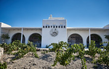 SantoriniExperts10