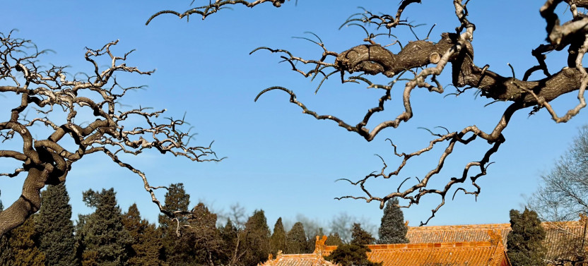 2-Hour Beijing Private Jingshan Coal Hill Park & Beihai Park Walking Tour