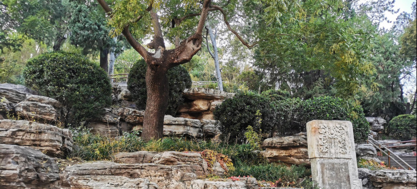 2-Hour Beijing Private Jingshan Coal Hill Park & Beihai Park Walking Tour
