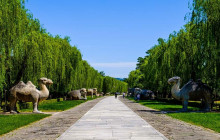 Discover Beijing Tours6