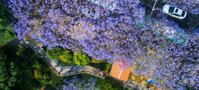 4-Day Private Yunnan Discovery from Beijing: Kunming, Dali & Lijiang