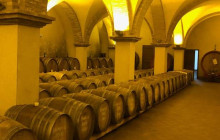 Tours of Tuscany16