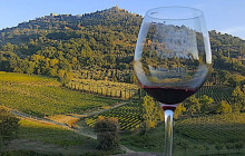 Tours of Tuscany19