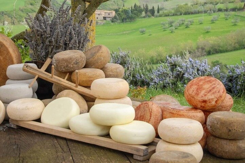 Private Full-day Taste of Tuscany Cheese Olive Oil and Brunello Tour