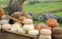 Tours of Tuscany1
