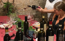 Tours of Tuscany6