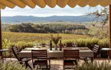 Tours of Tuscany8