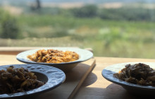 Tours of Tuscany18