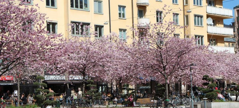 Stockholm Tour With A Local: Explore Hip And Bohemian Sodermalm