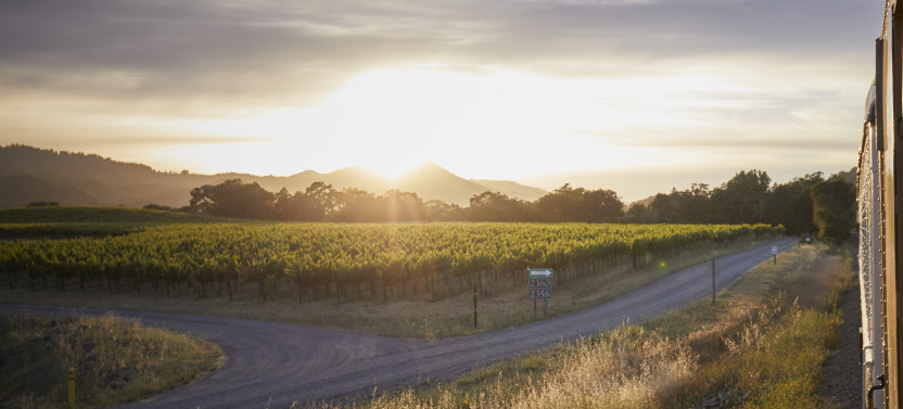 Napa Valley Wine Train: Gourmet Express | 2.5-hour Dinner Train
