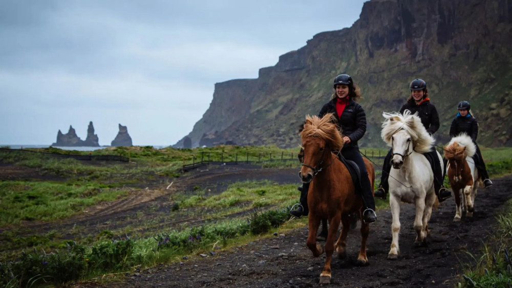 Private South Coast Odyssey: Waterfalls, Glaciers & Black Sand Saddles
